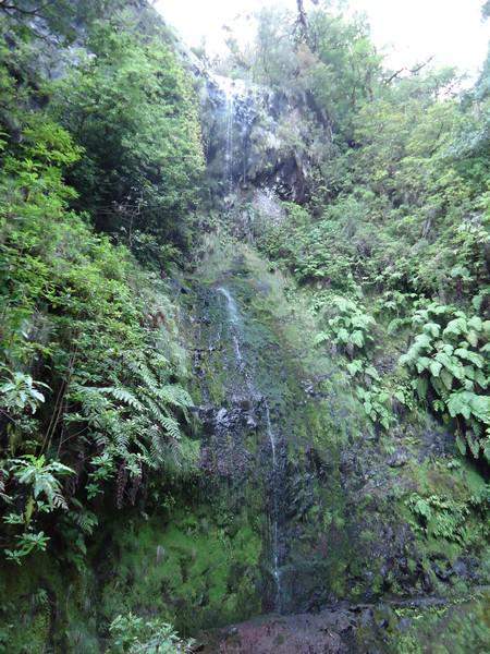 Madeira00129
