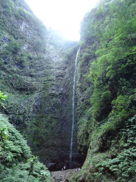 Madeira00131