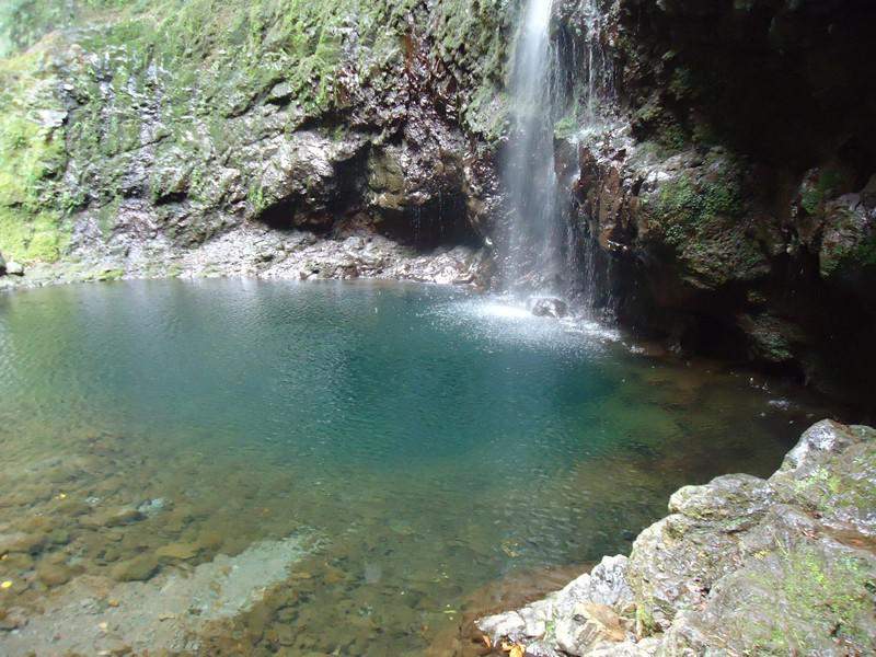 Madeira00135