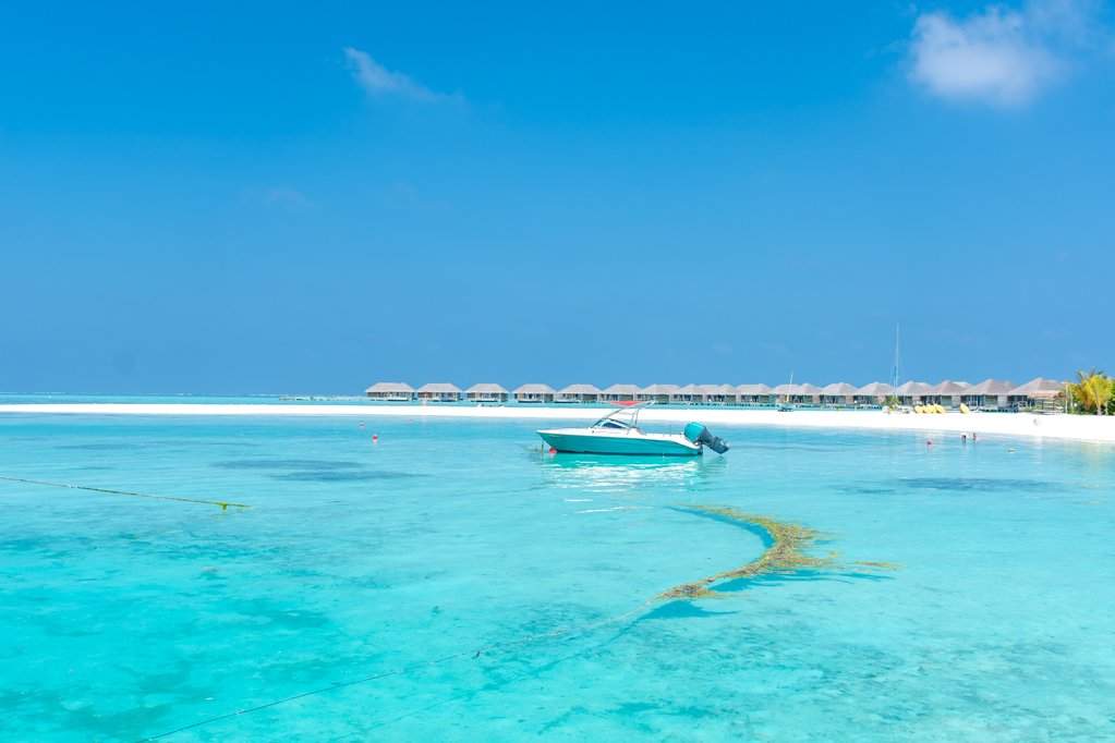 Maldivas7 (23)