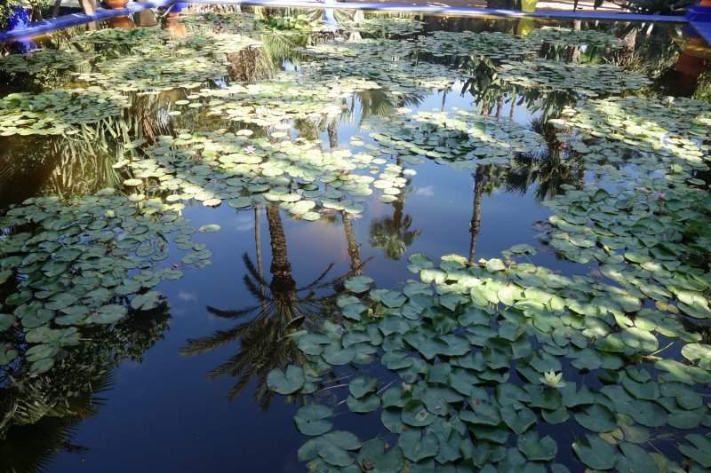 Marraquexe 18 Jardim Majorelle