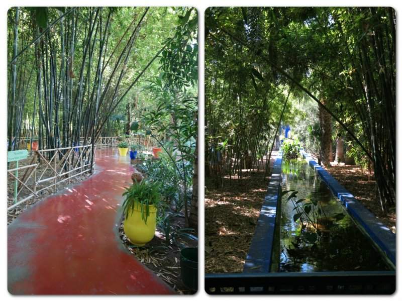 Marraquexe 19 Jardim Majorelle