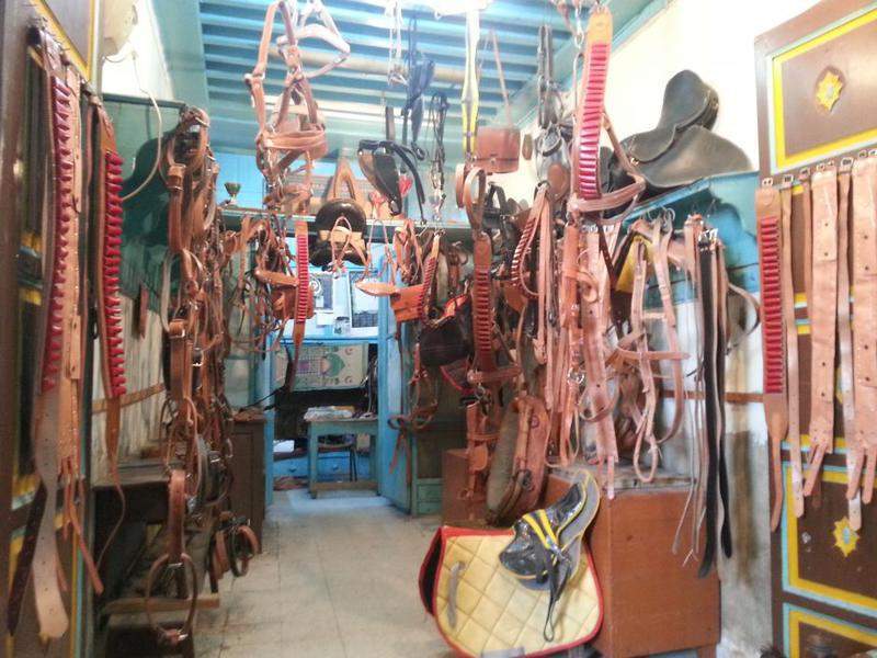 Medina de Tunes