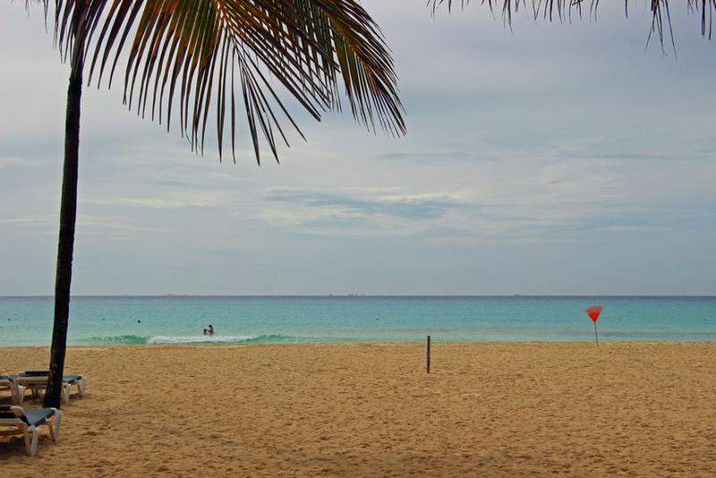 Mexico 201436