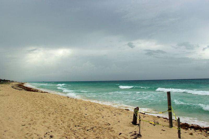 Mexico_201449.jpg