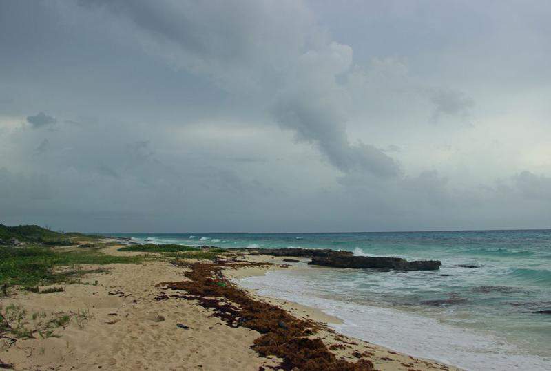 Mexico_201452.jpg