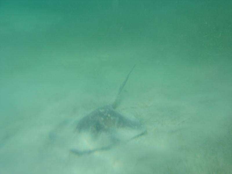 Negril