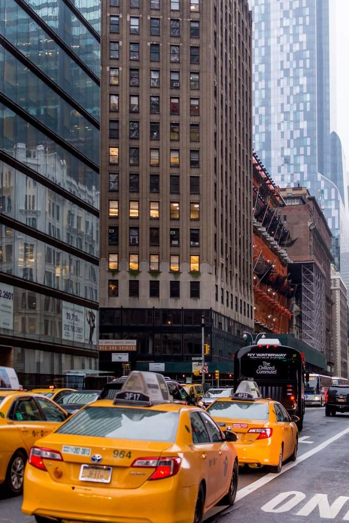 NY (101)