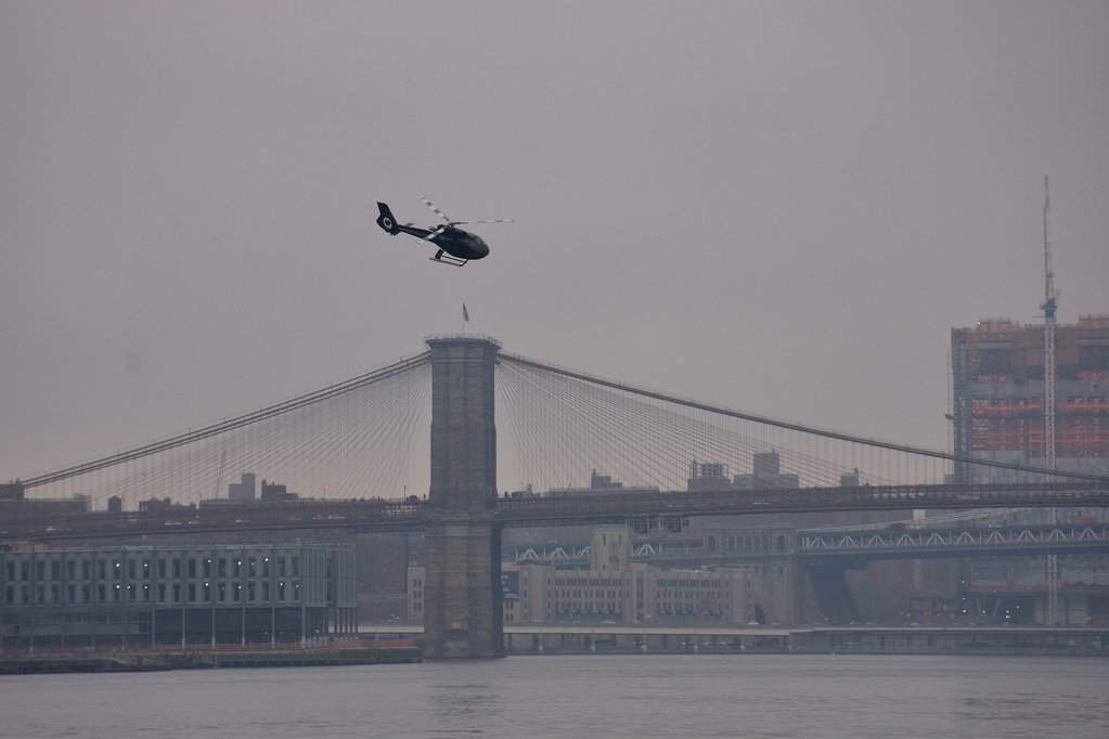 NY (334)