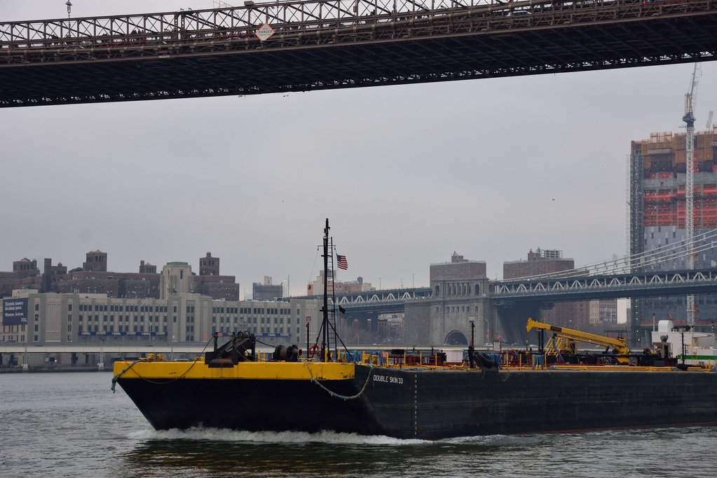 NY (335)