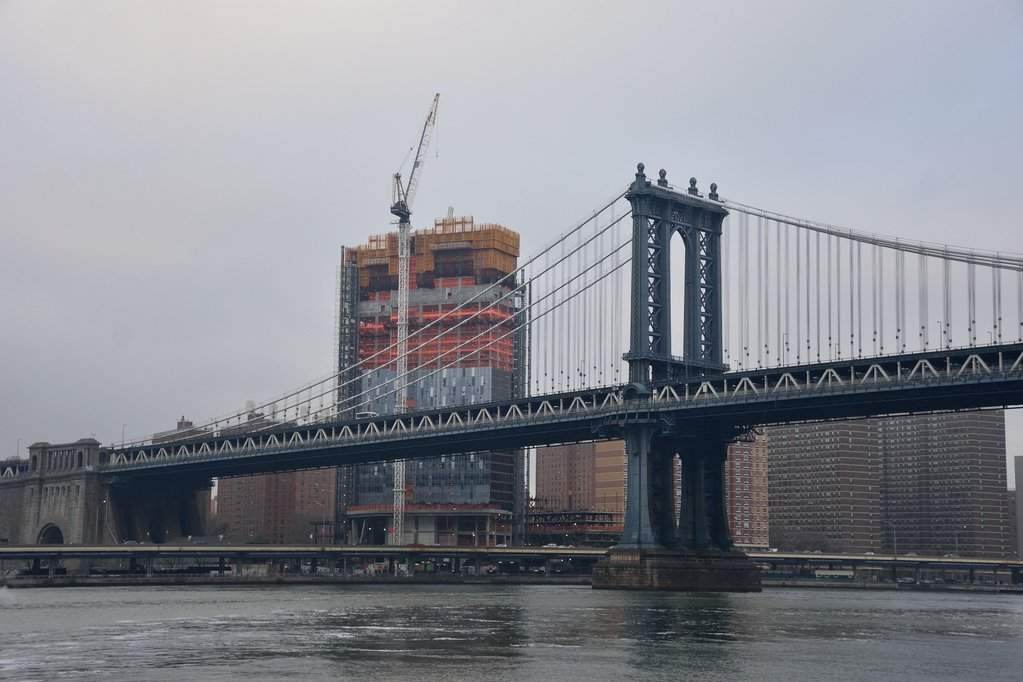 NY (336)