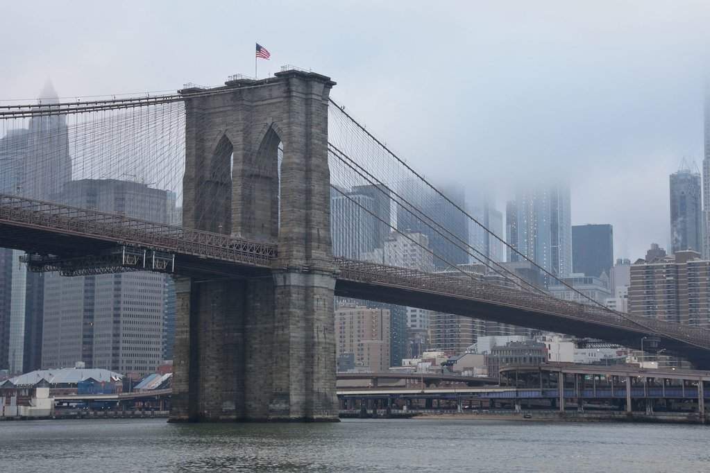 NY (337)