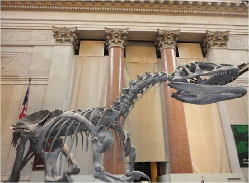 O fóssil à entrada do Museu Americano de História Natural