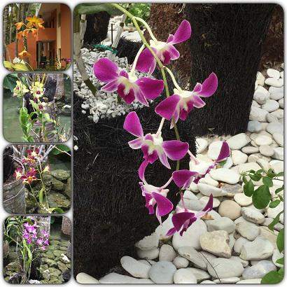 Orquidario