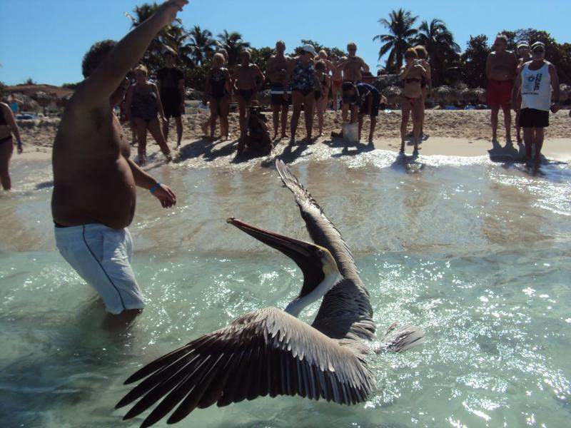 Ou largas a sardinha ou baixo-te os calções...