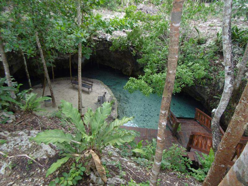 P1000103