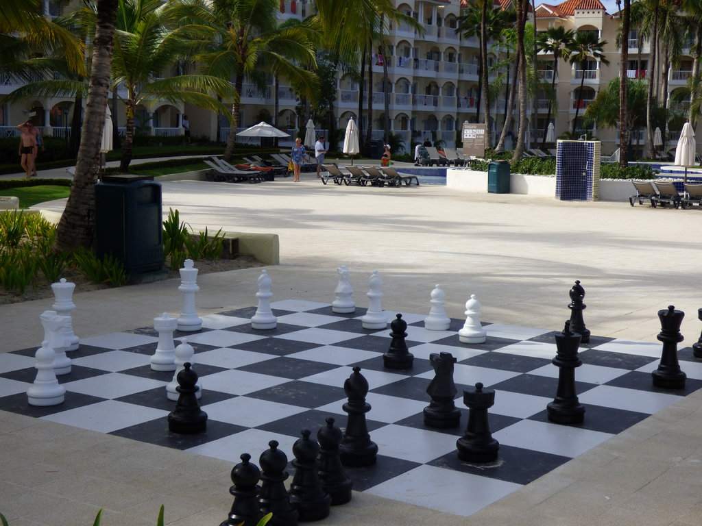 P1010539