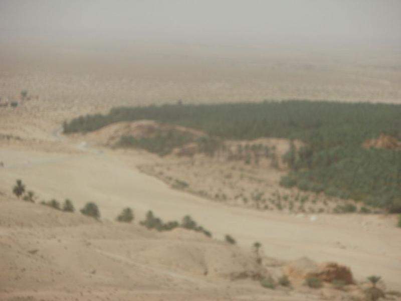 P1010589