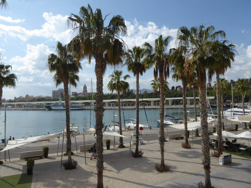 P1060722