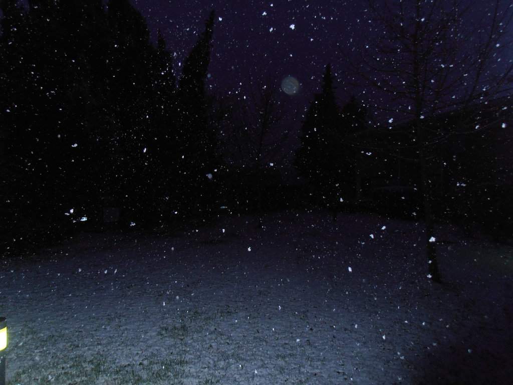 P2030072