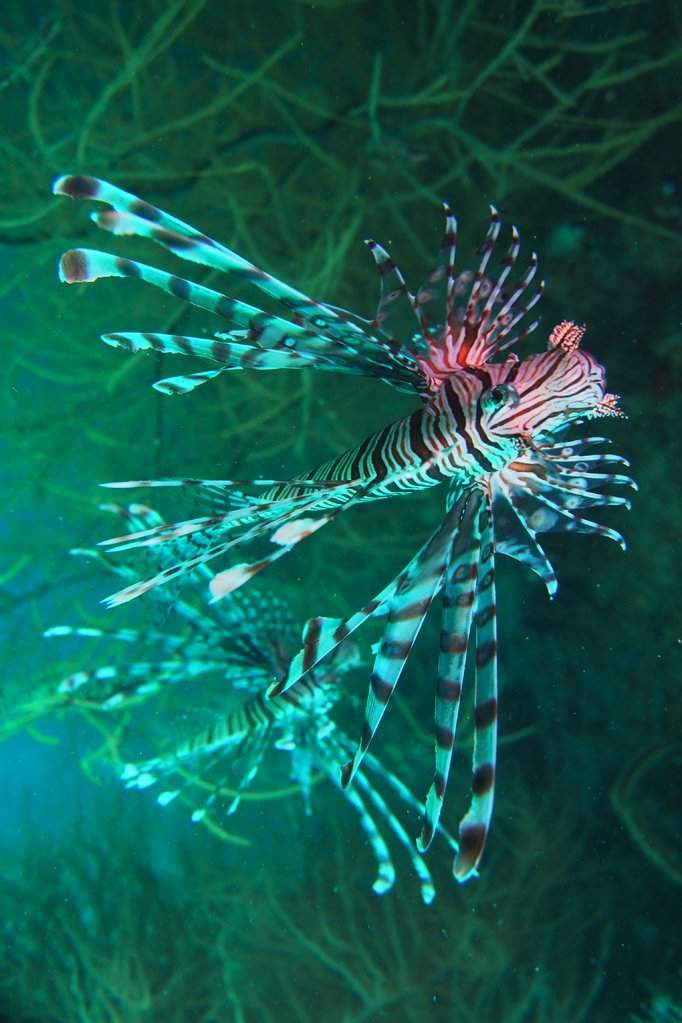 P3060036