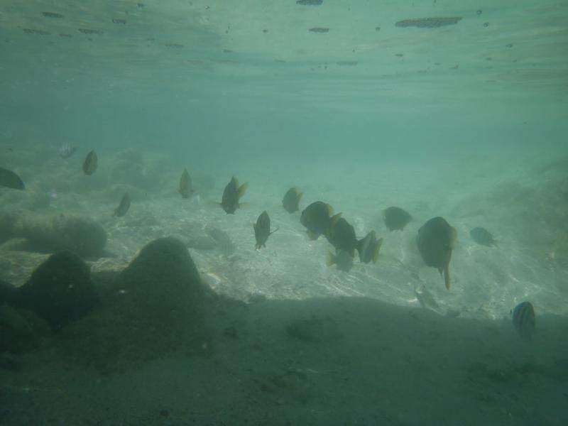 P5220091