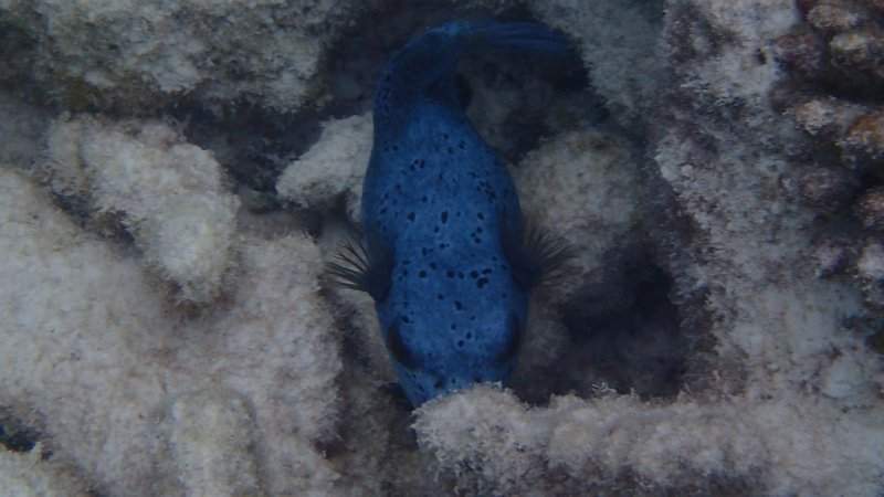 P6130404