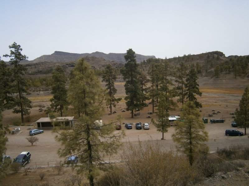 P8260130