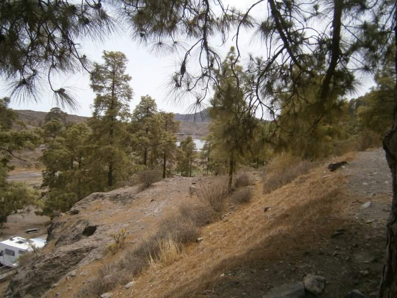 P8260131