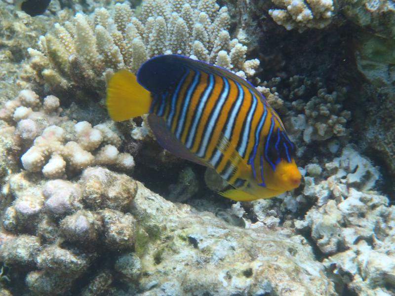 P9050057