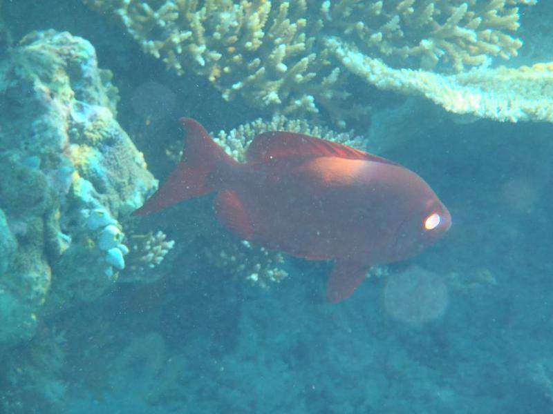 P9060357