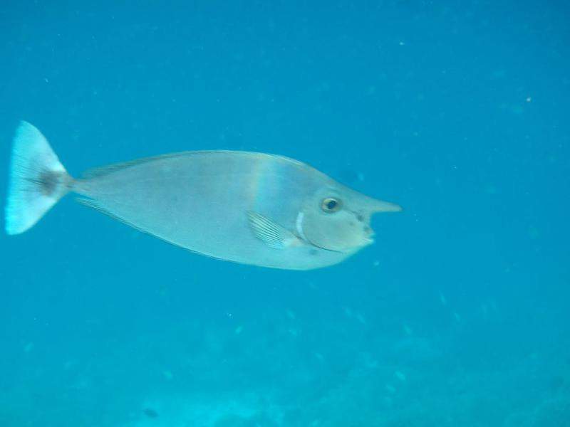 P9070594