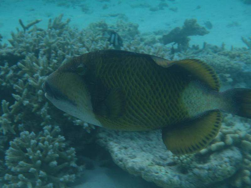 P9070657