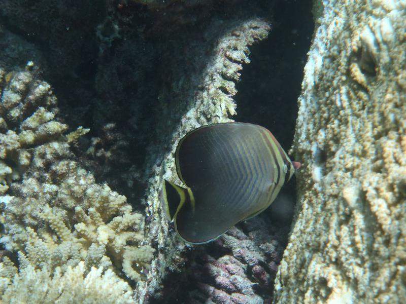 P9090754