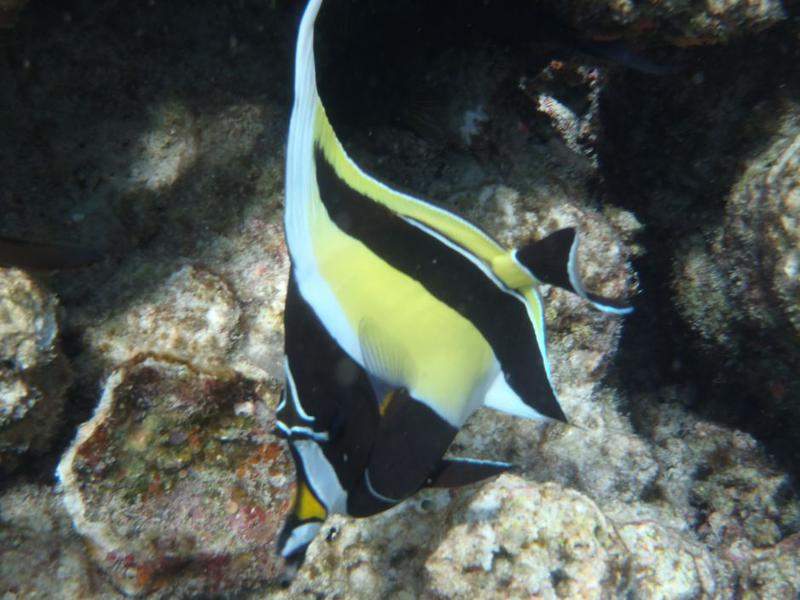 P9090762