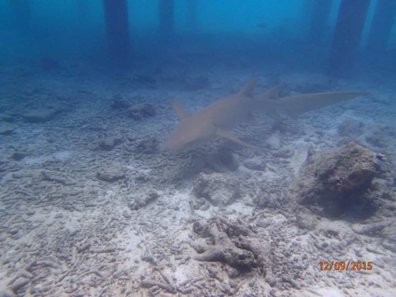 P9120007