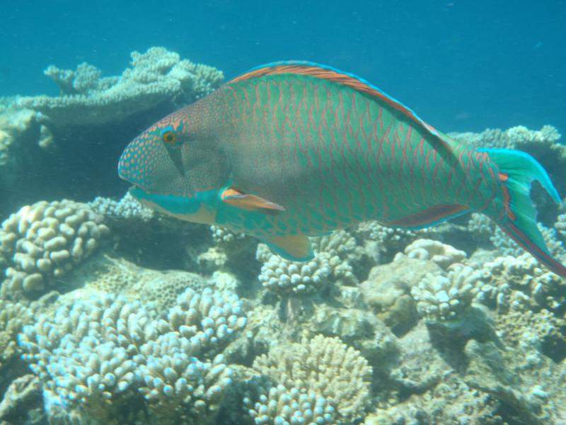 P9130299