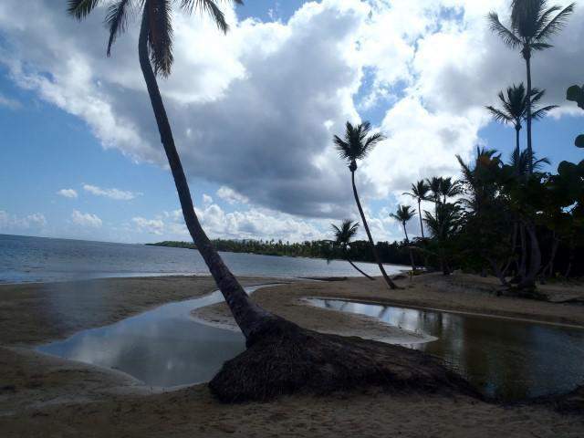 P9240021