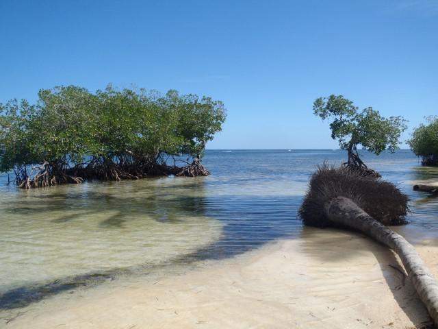 P9260159