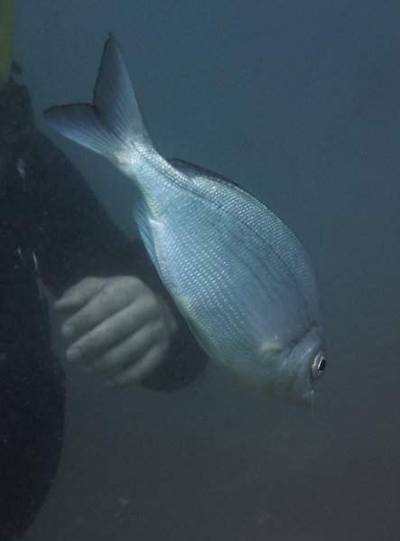 P9270019