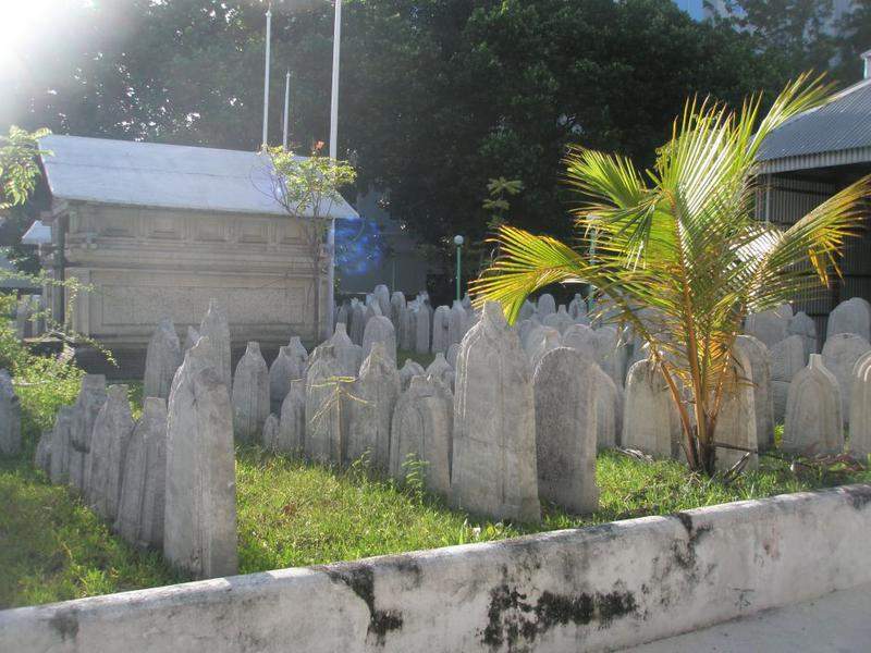 PA131079.JPG