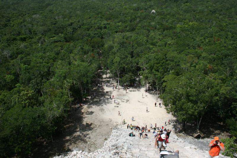 Paisagem Coba