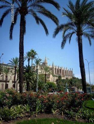 Palma de Maiorca