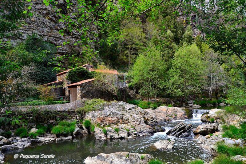 Paraíso Verde