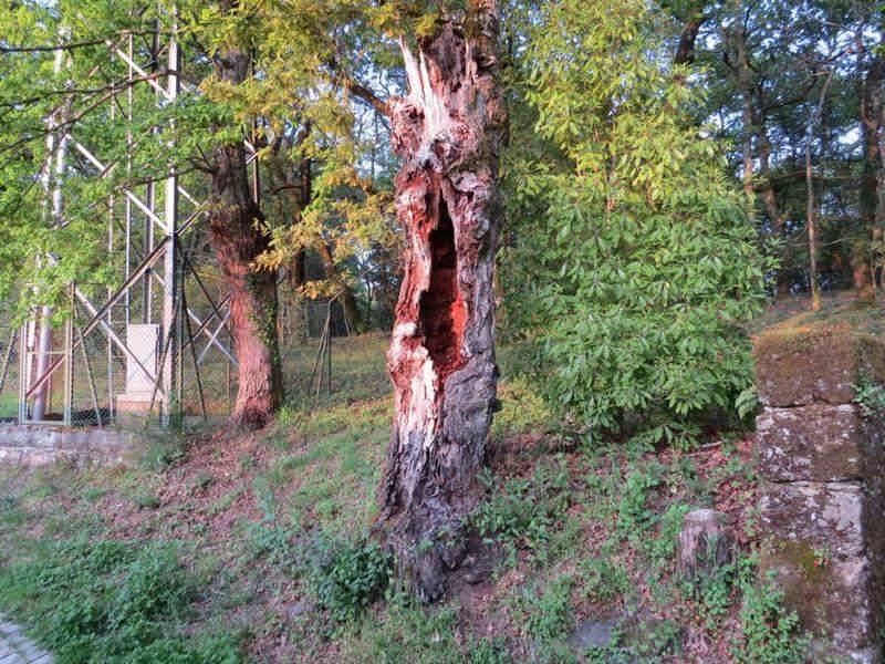 Parque do Fontelo