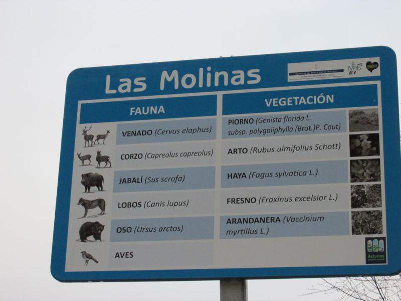 Parque natural de Solmiedo
