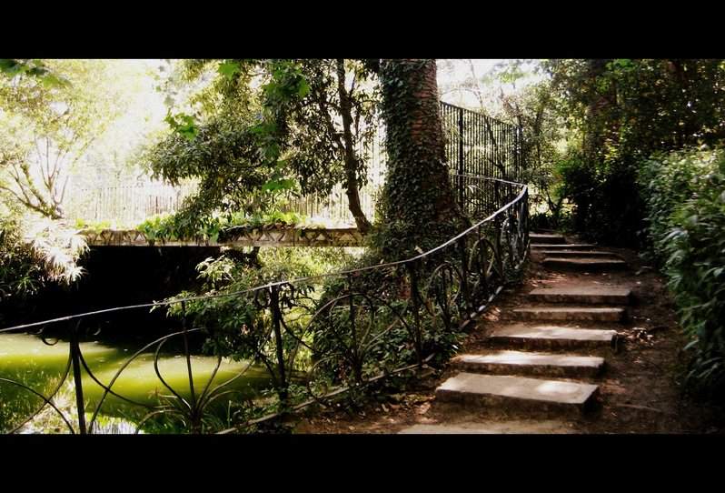 Parque