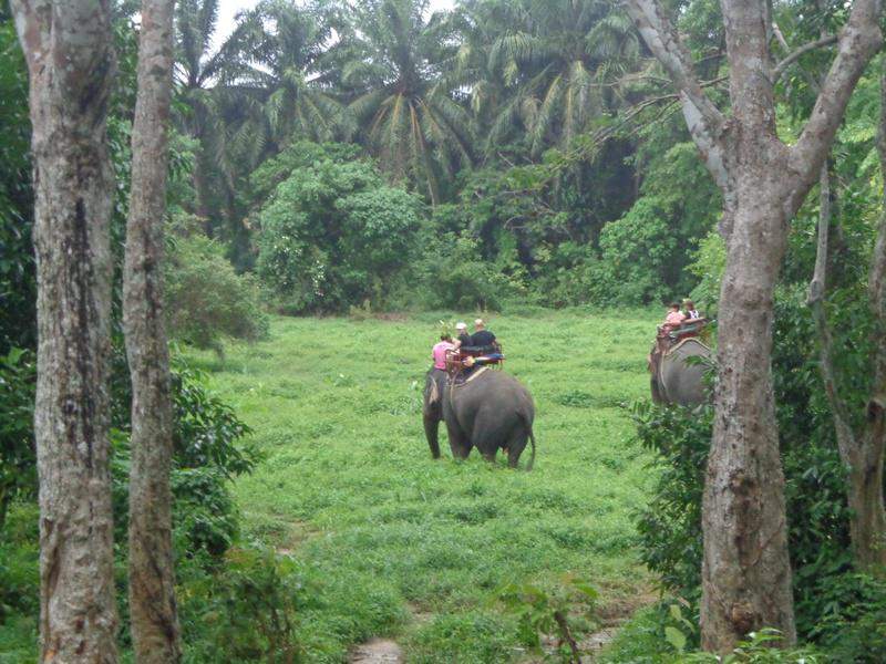Passeio de elefante - Krabi