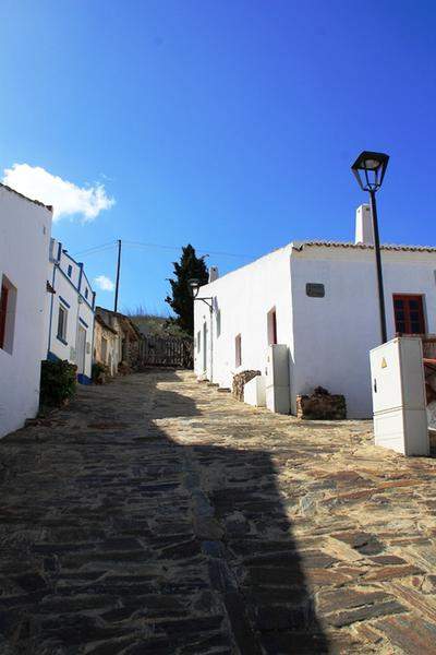PEDRALVA 125