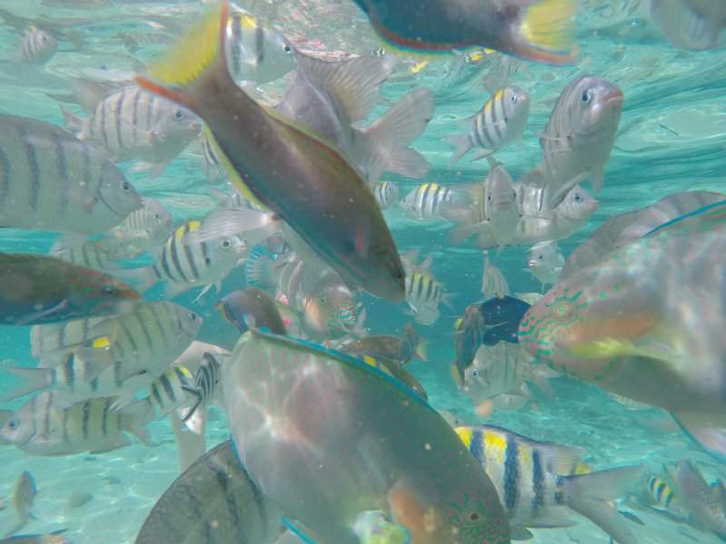 Peixinhos Rawa Beach